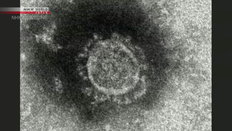 861 confirmed infected with coronavirus in Japan