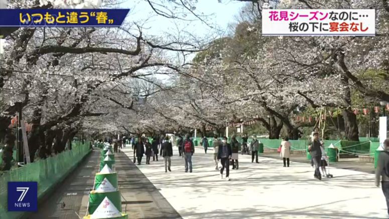 No parties held at cherry blossom viewing spot