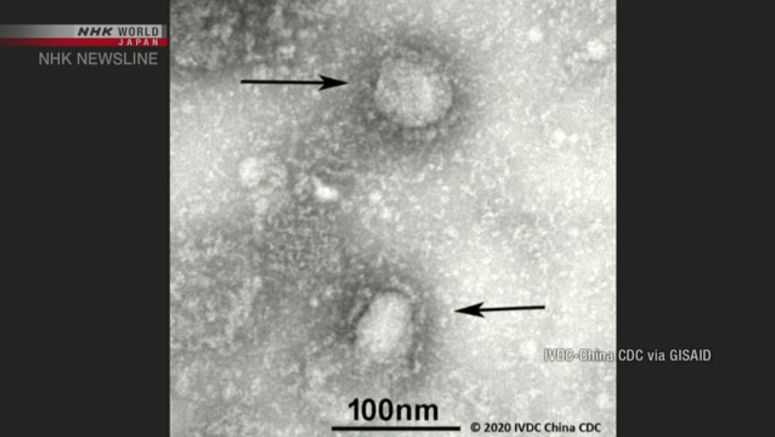 More new coronavirus cases confirmed in Japan