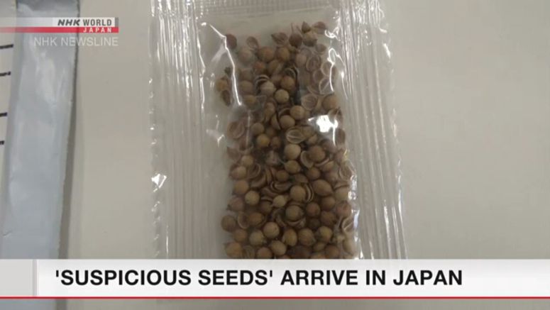 'Suspicious seeds' from overseas reported in Japan