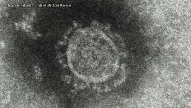 Japan reports 644 new coronavirus cases on Monday