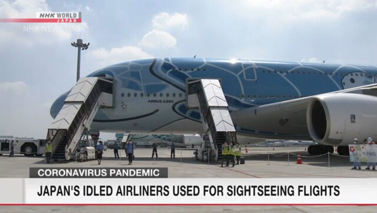 Japan's idled airliners fly for sightseeing