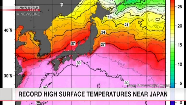 Sea surface temperatures record - high in August Sea surface temperatures record-high in August
