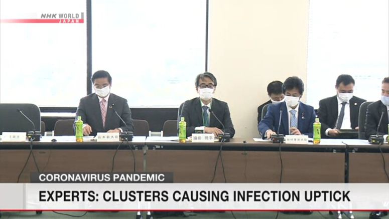 Experts: Coronavirus cases in Japan up slightly