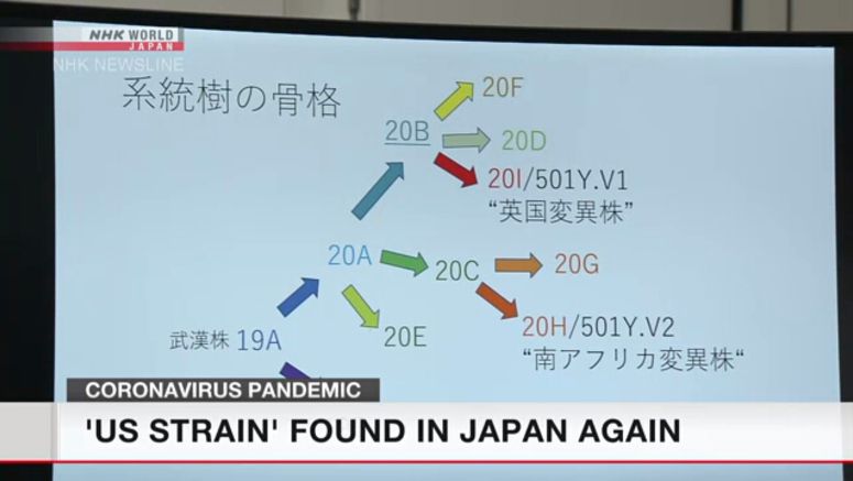US variant of coronavirus found in Japan