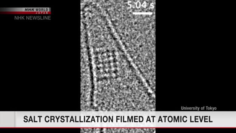 Salt crystallization filmed at atomic level