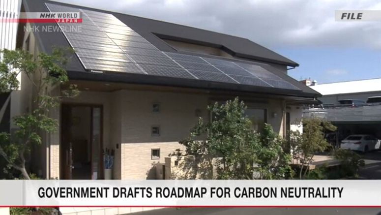Government drafts roadmap for carbon neutrality