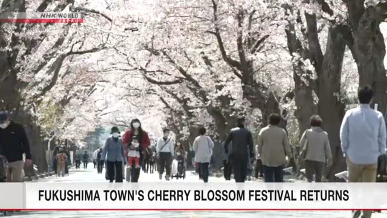 Cherry blossom festival resumes in Fukushima town