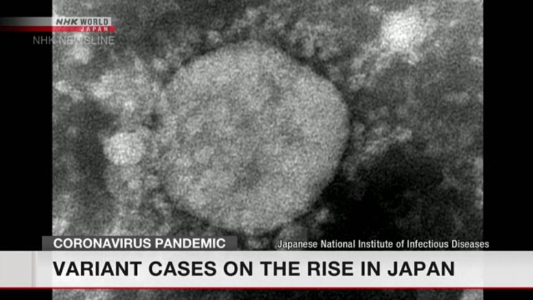 UK coronavirus variant surging in Japan