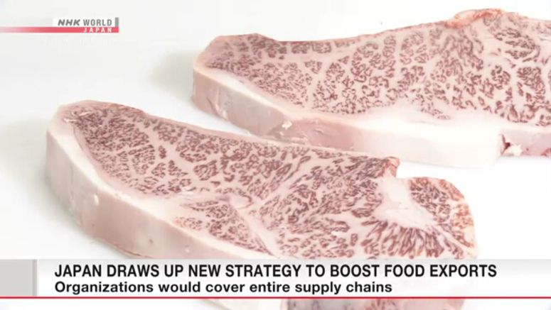 Japan draws up new strategy to boost food exports
