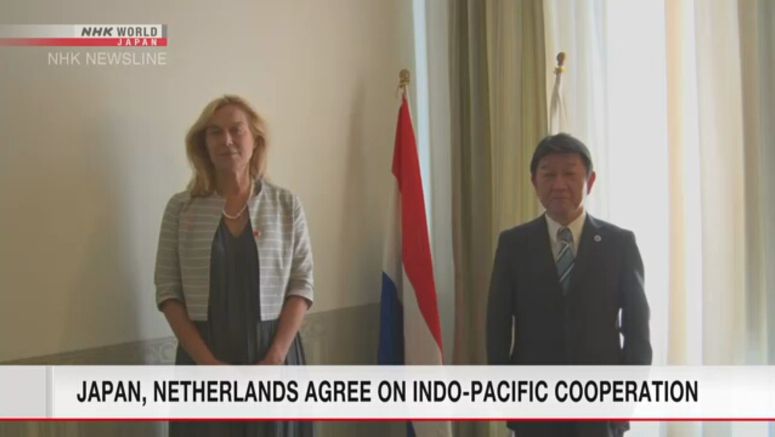 Japan, Netherlands to step up ties on Indo-Pacific