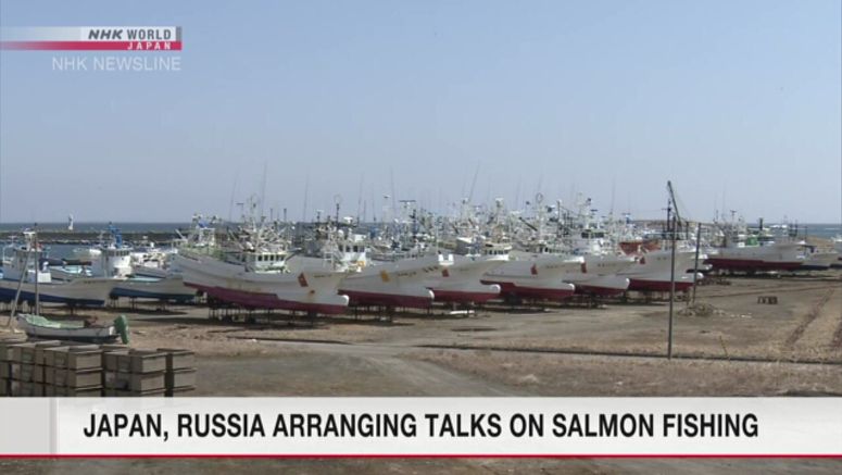 Japan, Russia may open talks on salmon and trout fishing