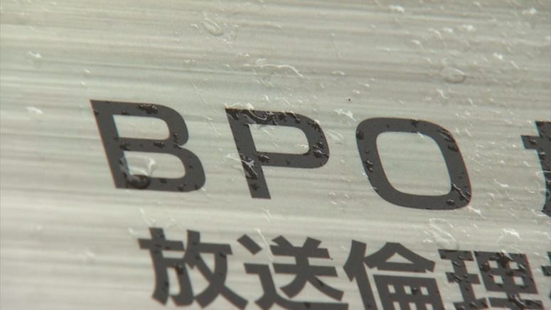 Japan media watchdog cautions TV variety shows using pain for laughs