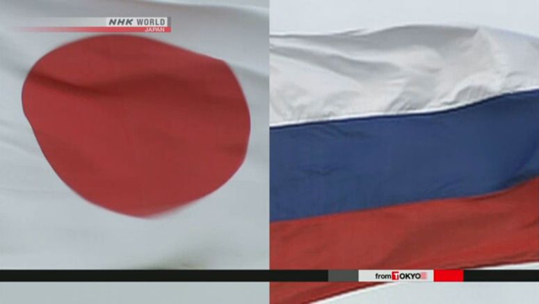 Japan's additional sanctions on Russia effectively ban new investments