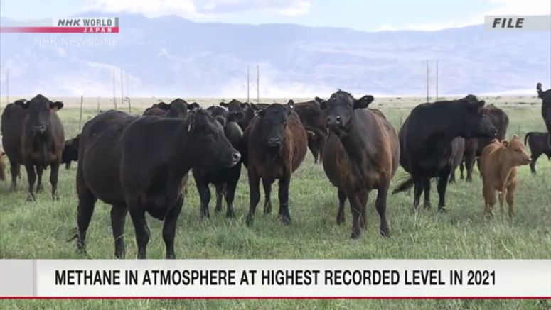 Global methane concentration posts biggest increase in 2021