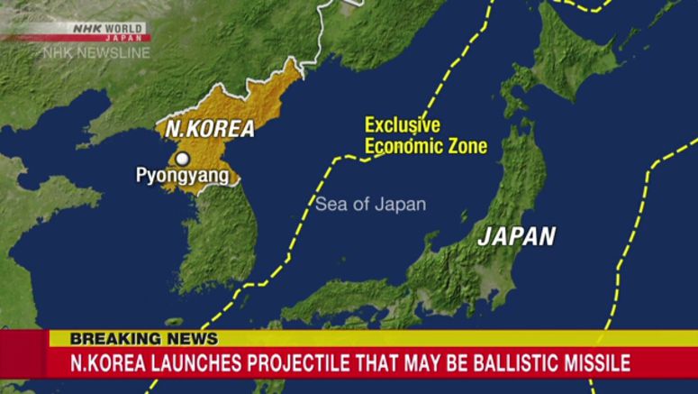 N.Korea launches suspected ballistic missile