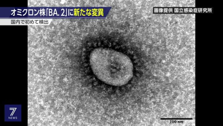 Researchers detect Omicron subvariant with new mutation first time in Japan