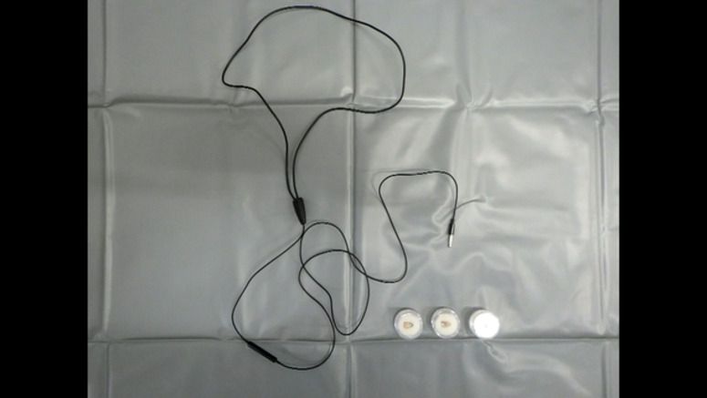 Tokyo police seize earbuds from exam cheating suspect's home