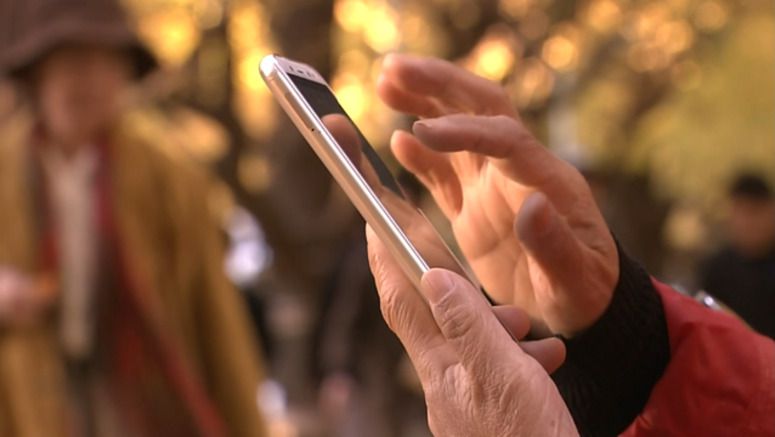 Japanese government draws up rural digitalization plan