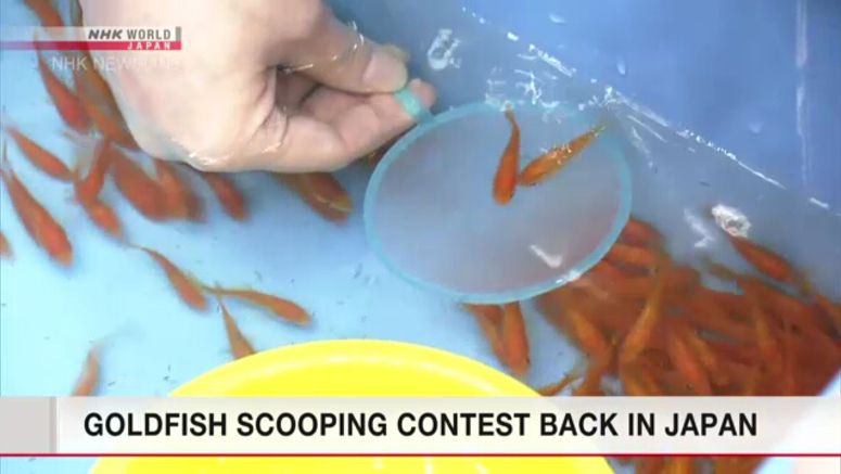 Goldfish scooping contest held in Nara for the first time in 3 years