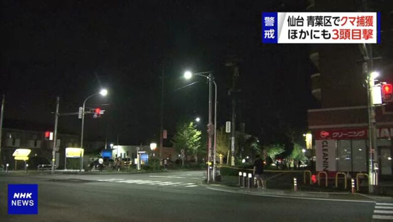 4 bears spotted in Sendai City, one captured and killed