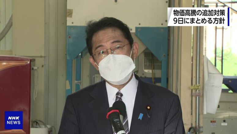 Japan PM: Govt. plans to compile measures against surging prices on Friday