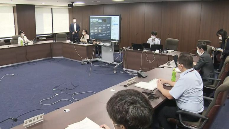 Experts concerned over possible simultaneous outbreak of flu, COVID Experts concerned over possible simultaneous outbreak of flu, COVID