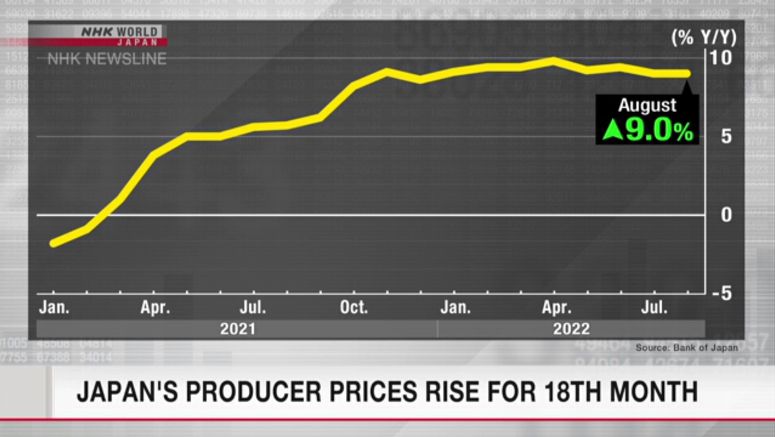 Japan's producer prices rise for 18th month
