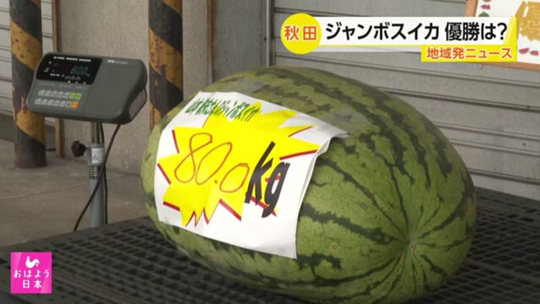 Watermelon weighing 80 kg wins contest in northern Japan