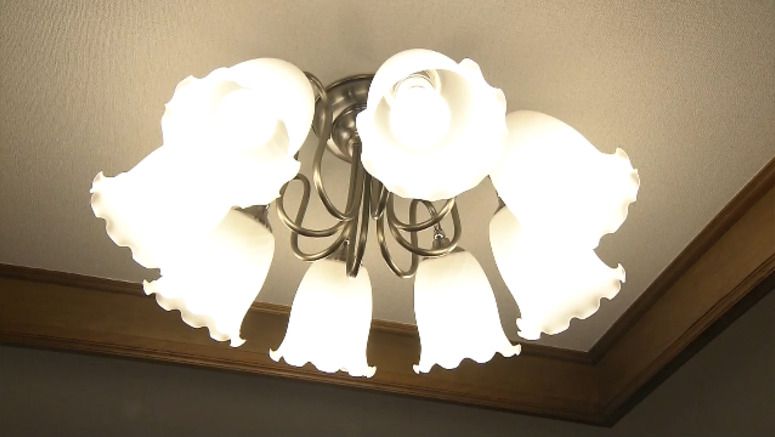 Japanese govt. to give incentive points to households to save power in winter