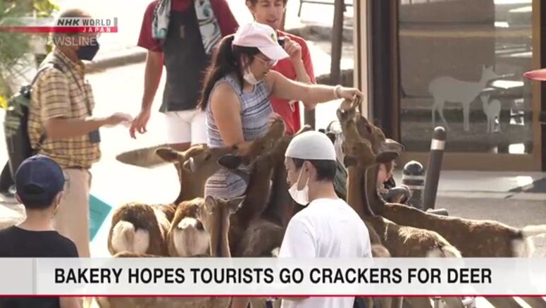 Bakery hopes tourists go crackers for deer