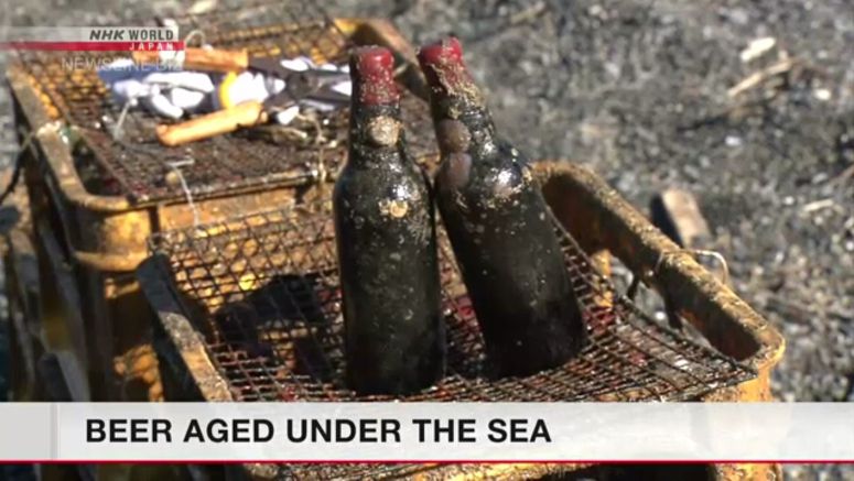 Japanese researchers experiment with aging beer under the sea
