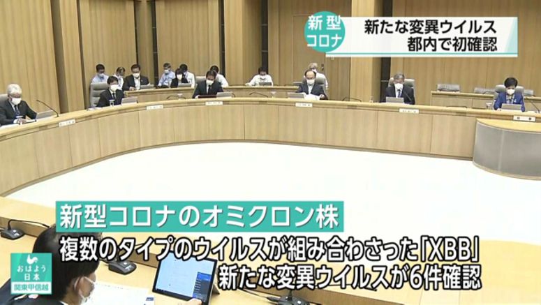 Tokyo confirms first 6 cases of COVID Omicron subvariant XBB