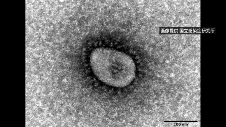 Average COVID-19 cases rising for 6 weeks, but at a slower rate