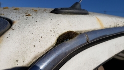 Junkyard Gem: 1986 Mazda 323 DX Hatchback