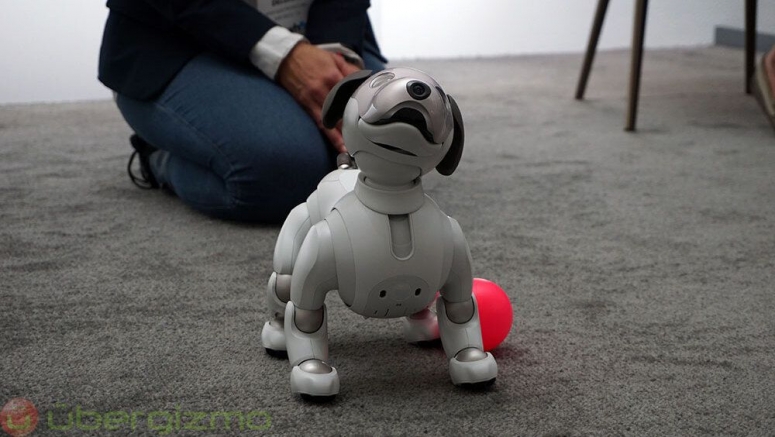 Sony's Aibo Robot Dog Will Now Be Able To Greet Users At The Door