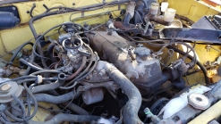 Junkyard Gem: 1978 Toyota Hilux