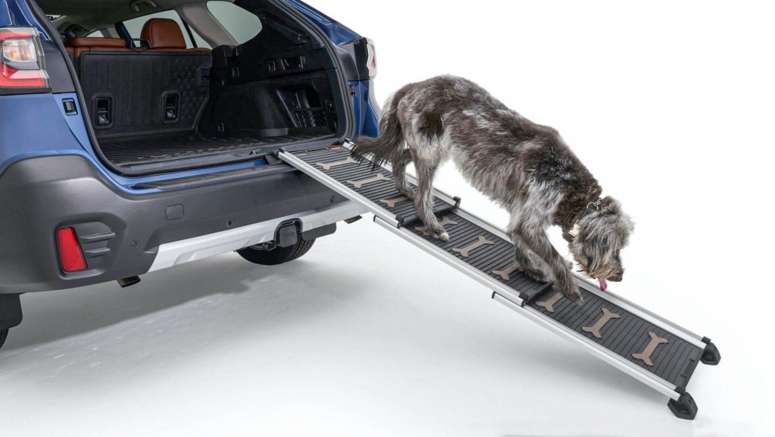 Celebrate International Dog Day by winning a Subaru Outback full of pet gear