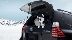 Lexus Adds Black Line Edition, New Standard Tech To The GX 460 For 2022