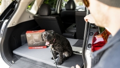 Nissan Australia Introduces Pet Accessories To Make Road Trips With Dogs Easier