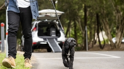 Nissan Australia Introduces Pet Accessories To Make Road Trips With Dogs Easier