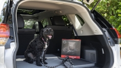 Nissan Australia Introduces Pet Accessories To Make Road Trips With Dogs Easier