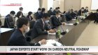 Japan experts start work on carbon-neutral roadmap