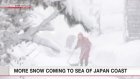 More snow coming to Sea of Japan coast