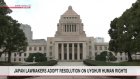 Japan's Upper House adopts resolution on Uyghur human rights