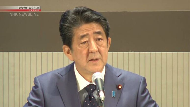 Japanese government sets up coronavirus task force