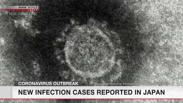 New infection cases reported in Japan