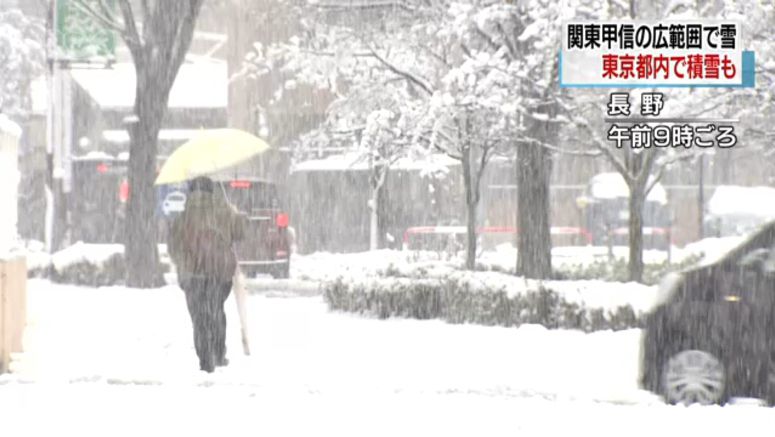 Snow falls in wide areas of Kanto, Koshin regions