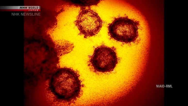 Coronavirus cases in Japan still rising