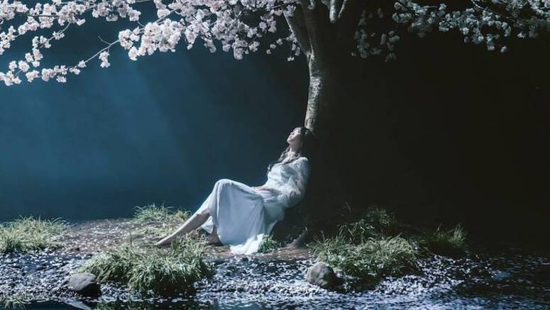 Aimer releases 10 music videos on YouTube